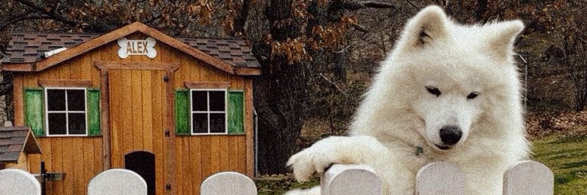Tutesh's profile banner image