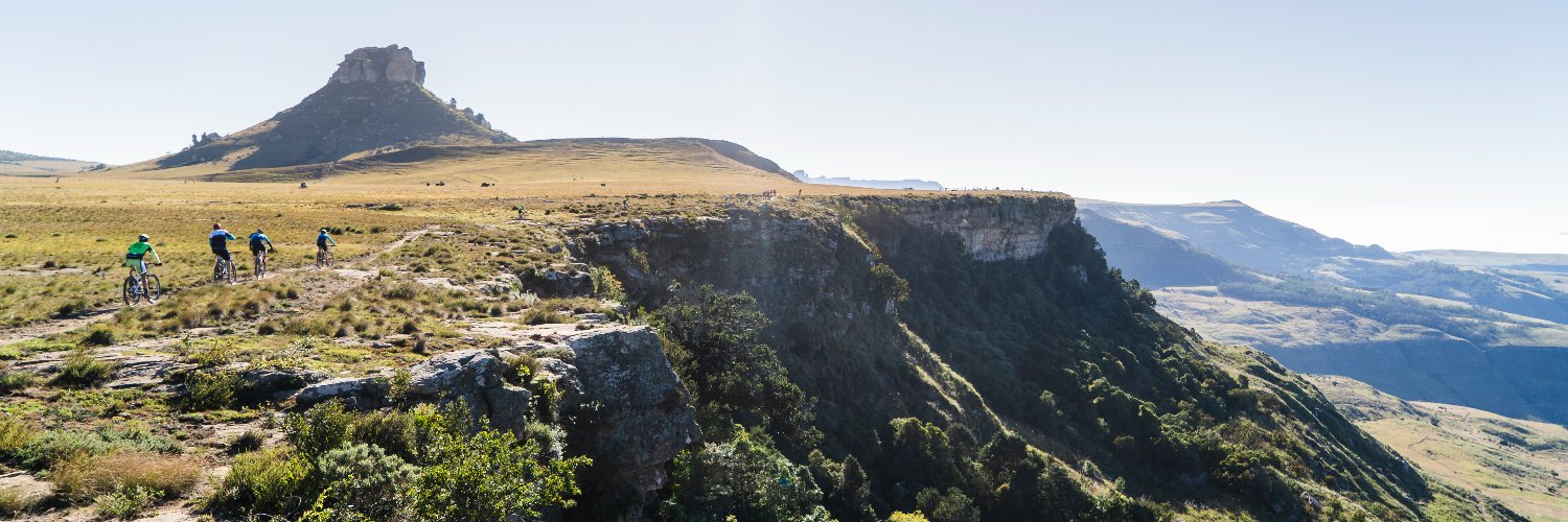 Craig Wapnick banner