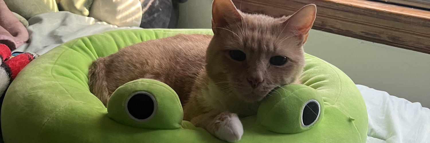 TopKidMP's profile banner image
