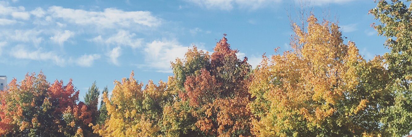 sophiesuph's profile banner image