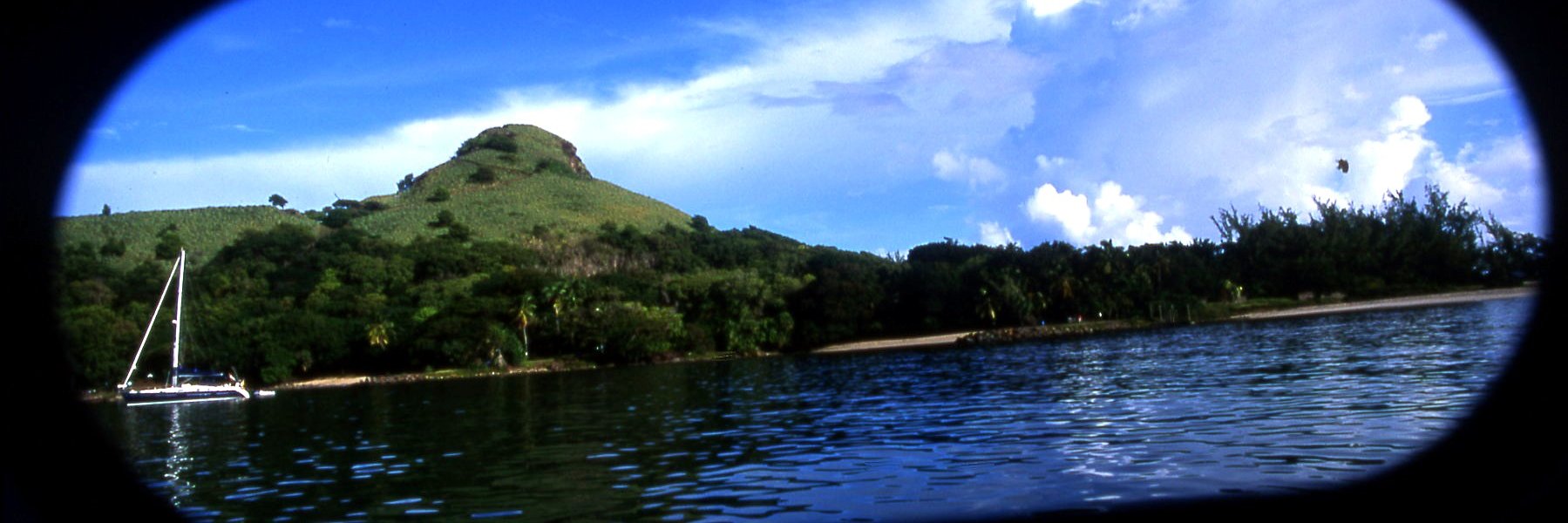 Re_evolution ✊🏼 banner