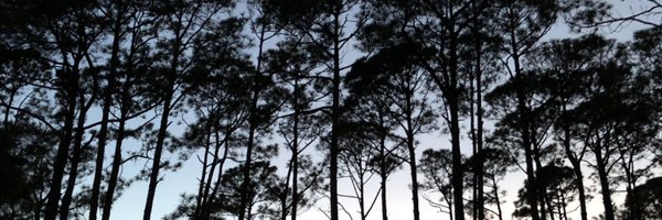 TreyCsar Profile Banner