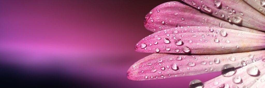 هدى banner