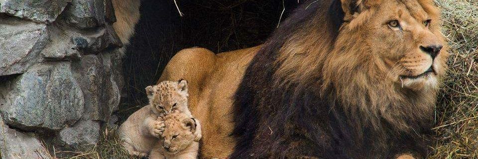 ergin_ksky's profile banner image