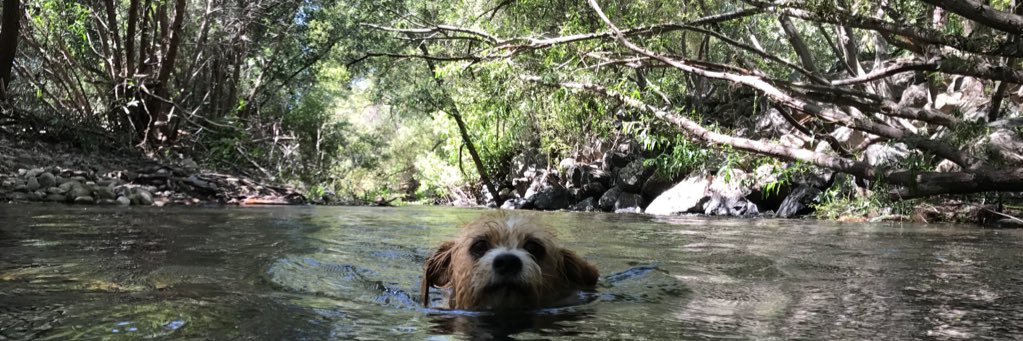 davefryx's profile banner image