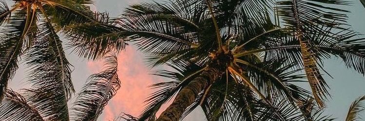 hoelyjam's profile banner image