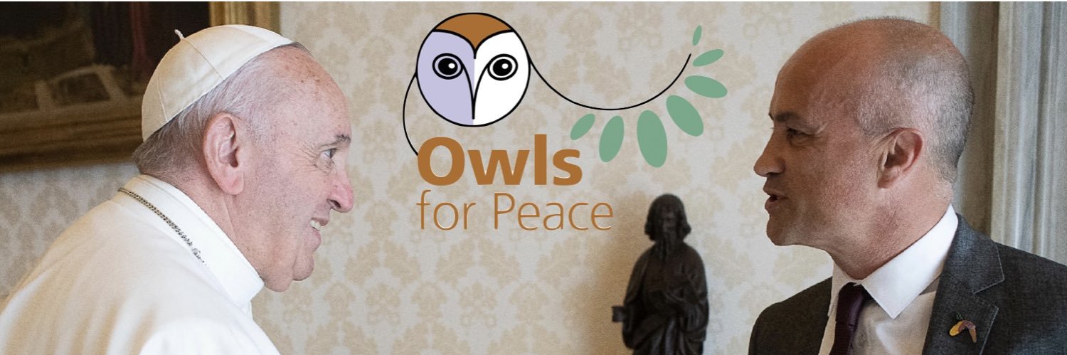 owlroulin's profile banner image