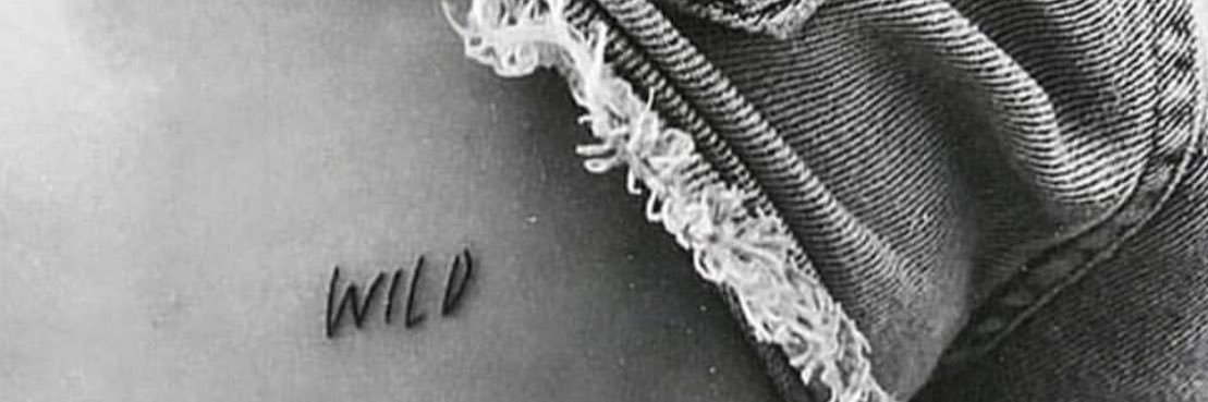 scammilli's profile banner image