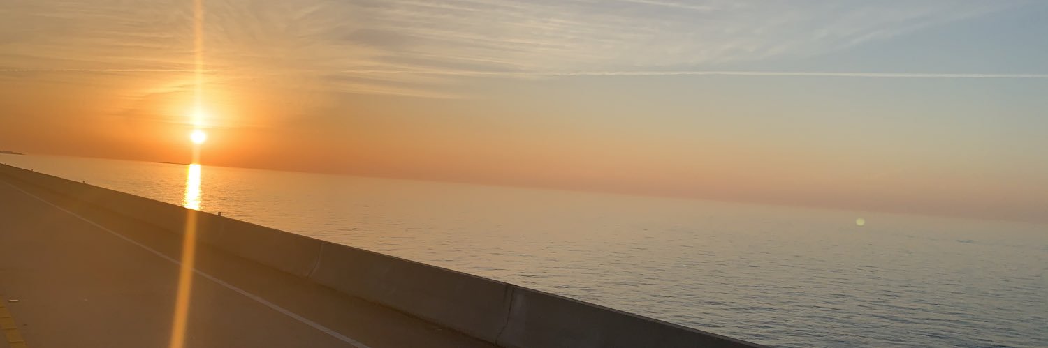 TheCat_12's profile banner image