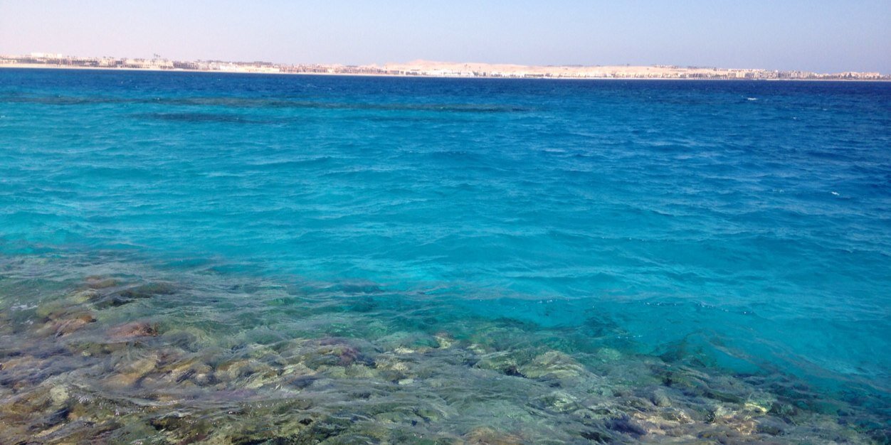 rahma_khaled's profile banner image