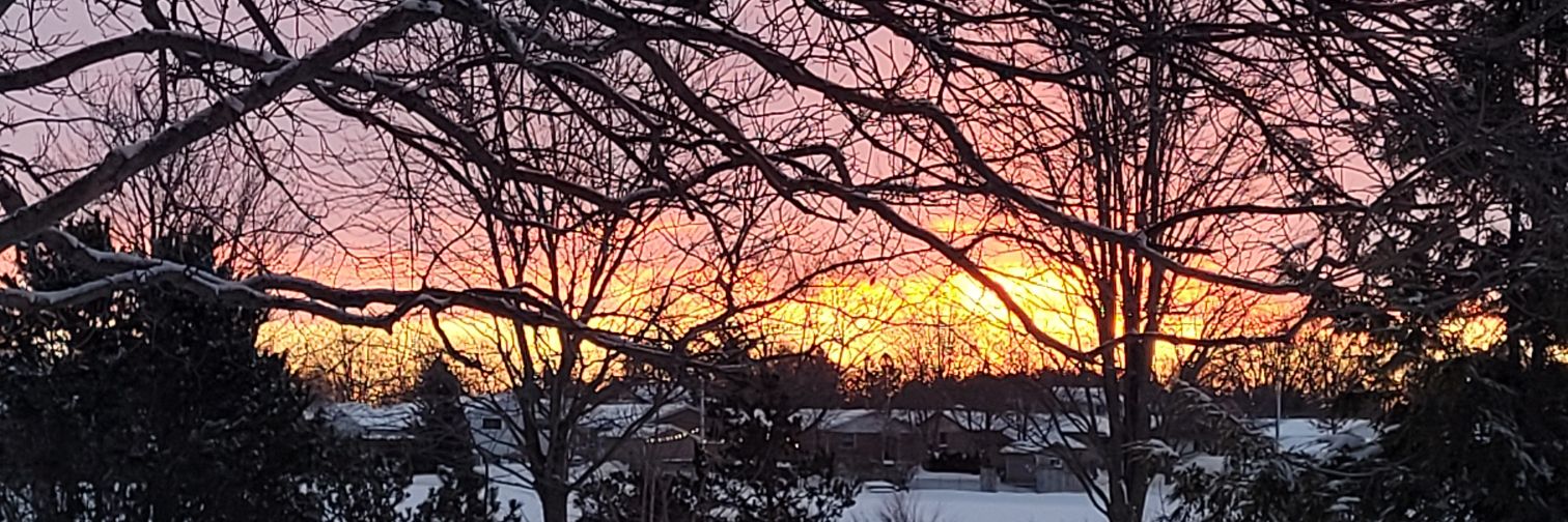 Cathy Burghardt-Jesson banner