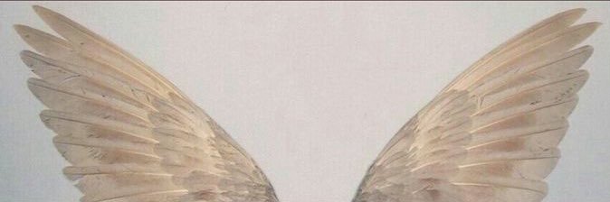 Han21__'s profile banner image