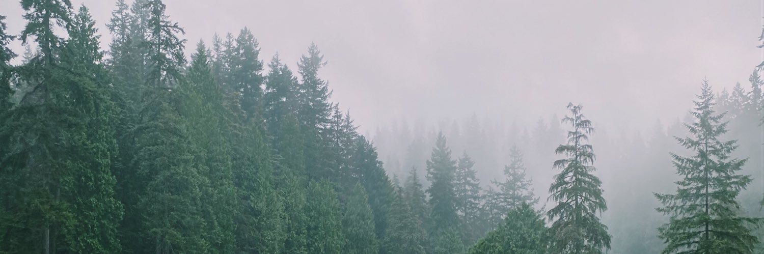 mikayladanielss's profile banner image