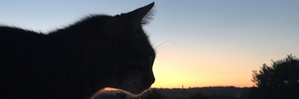 maarie_nlr's profile banner image