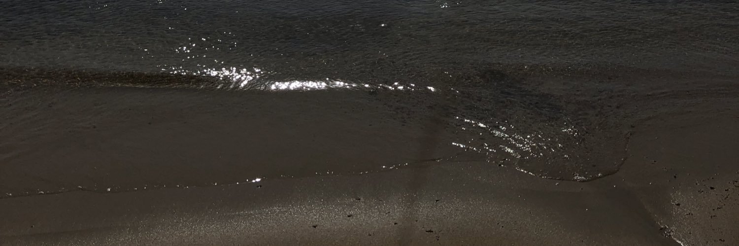 leonordmz's profile banner image