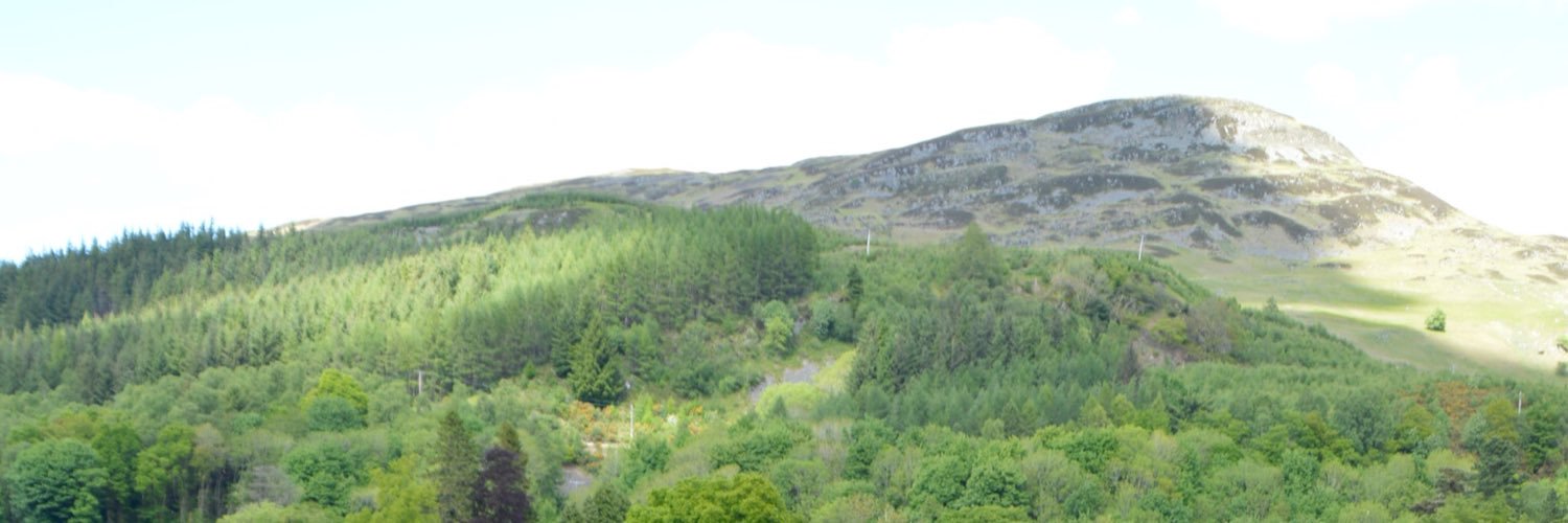KathrynWillens's profile banner image