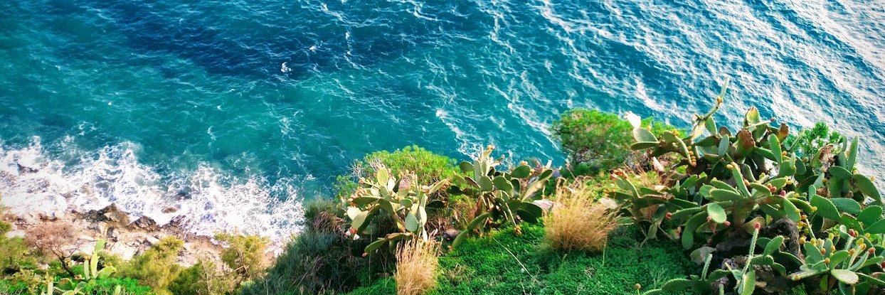 Free Radical. banner