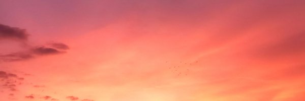 ndsalusi Profile Banner