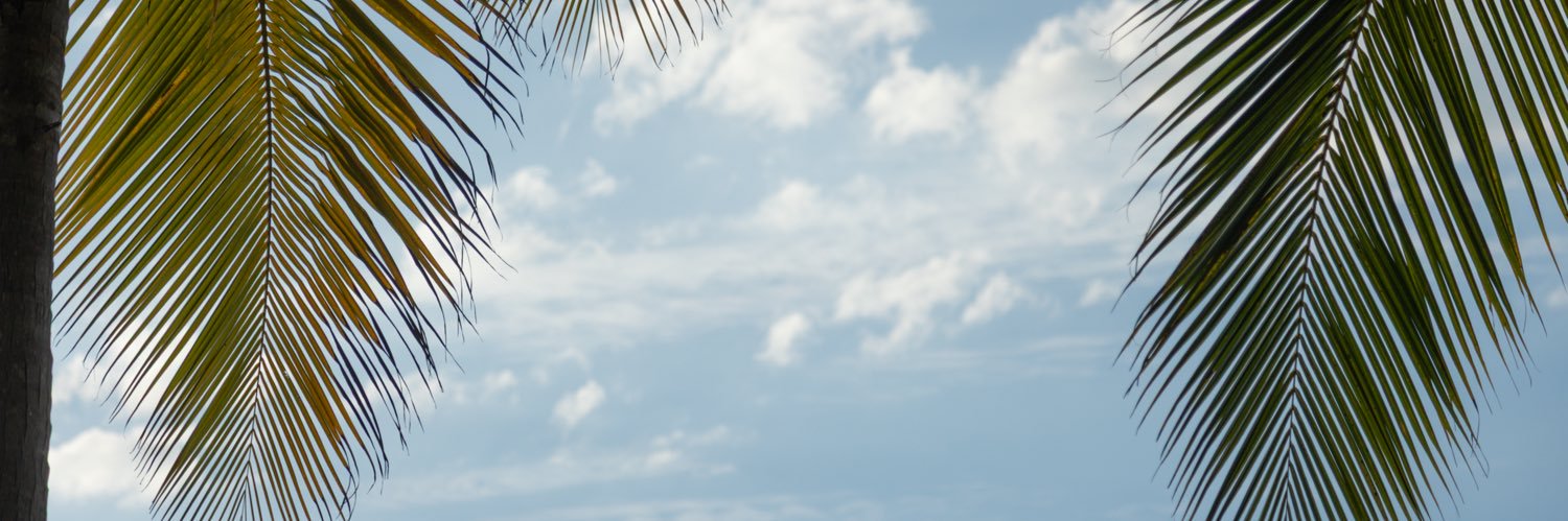 La vida de un gemelo🗺️ banner