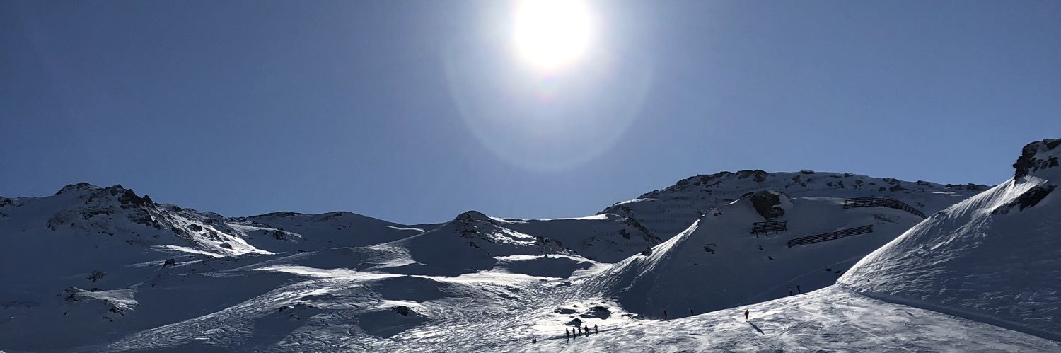 Carina Stiedl banner