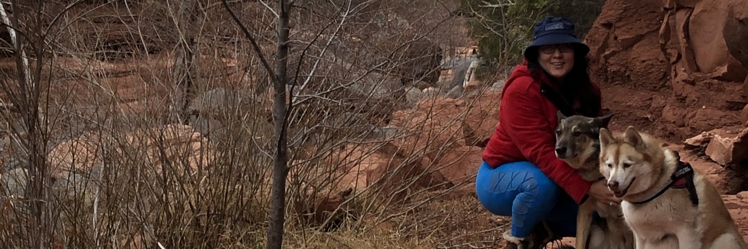 ZackSterling's profile banner image