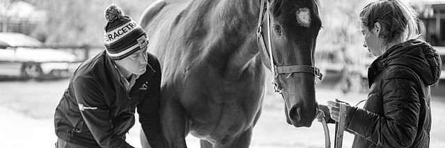 EoinTheVet's profile banner image