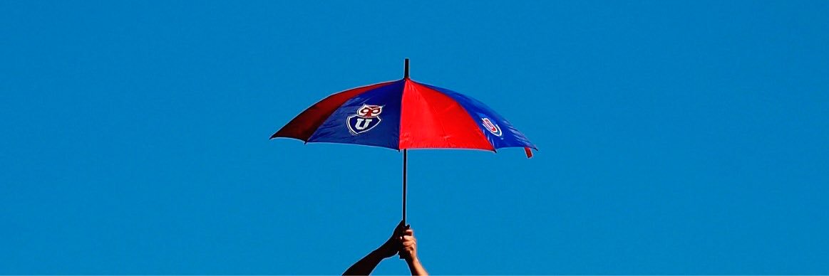 Berni Mosso banner
