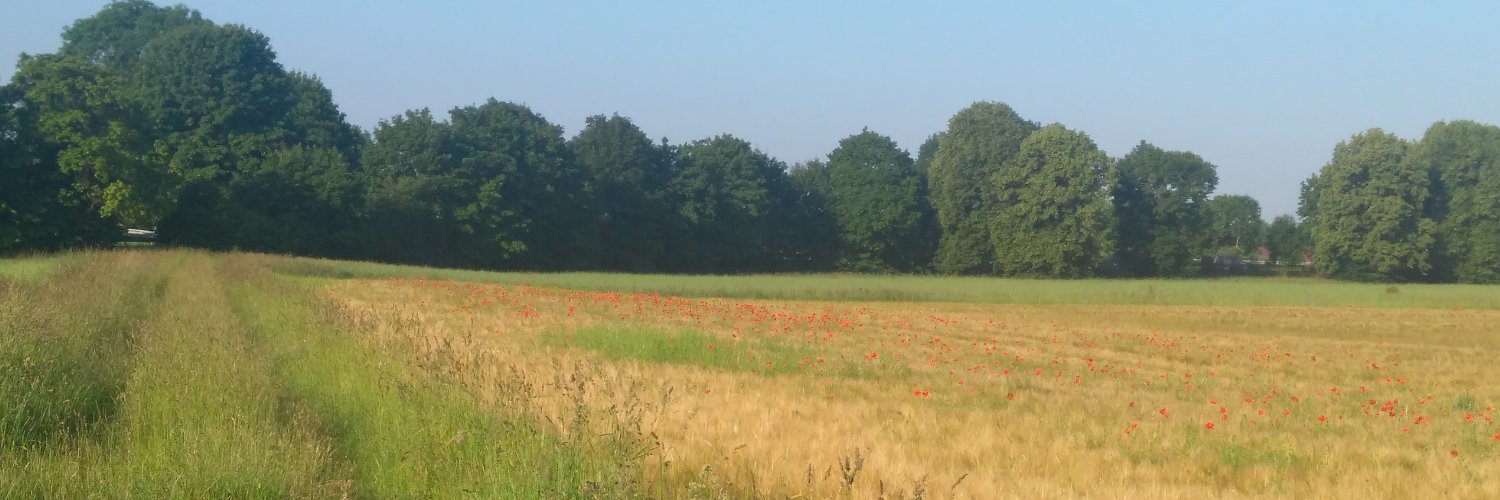 @bitzeli@muenchen.social banner