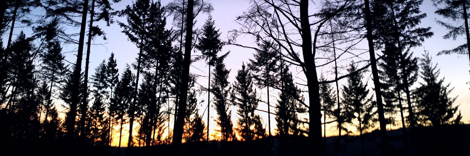 JenneyFreeman's profile banner image