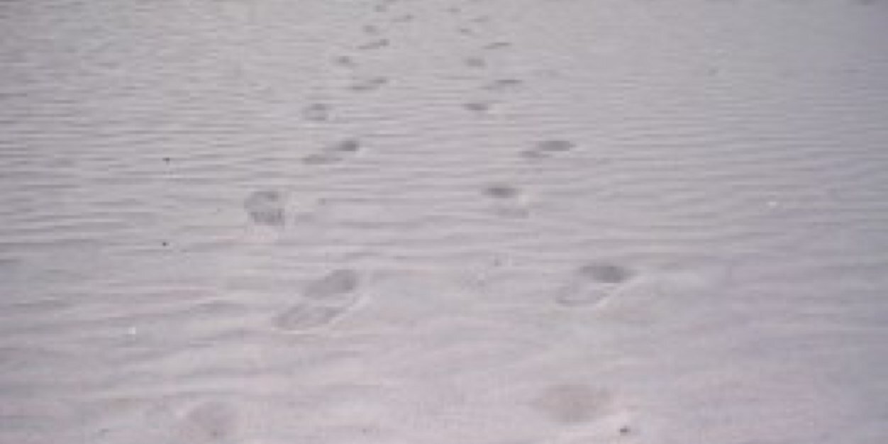 Methnat's profile banner image