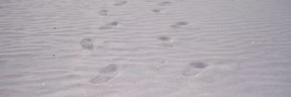 Methnat Profile Banner