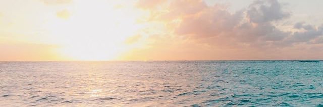 ruth_df's profile banner image