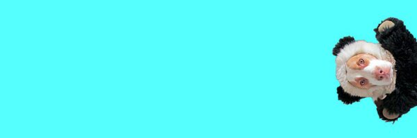 maymothedog Profile Banner