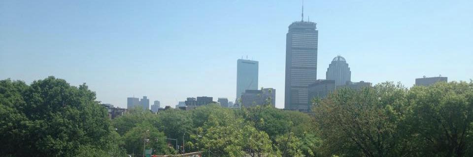 p_serodio's profile banner image