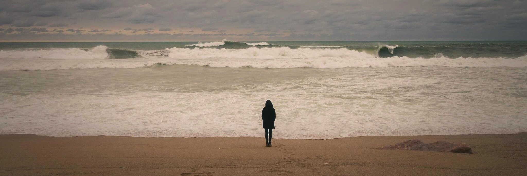 NorthLightFilm's profile banner image