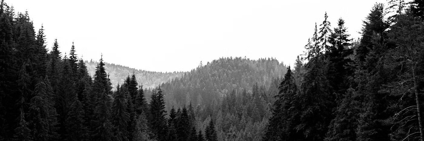 J_Deanz's profile banner image