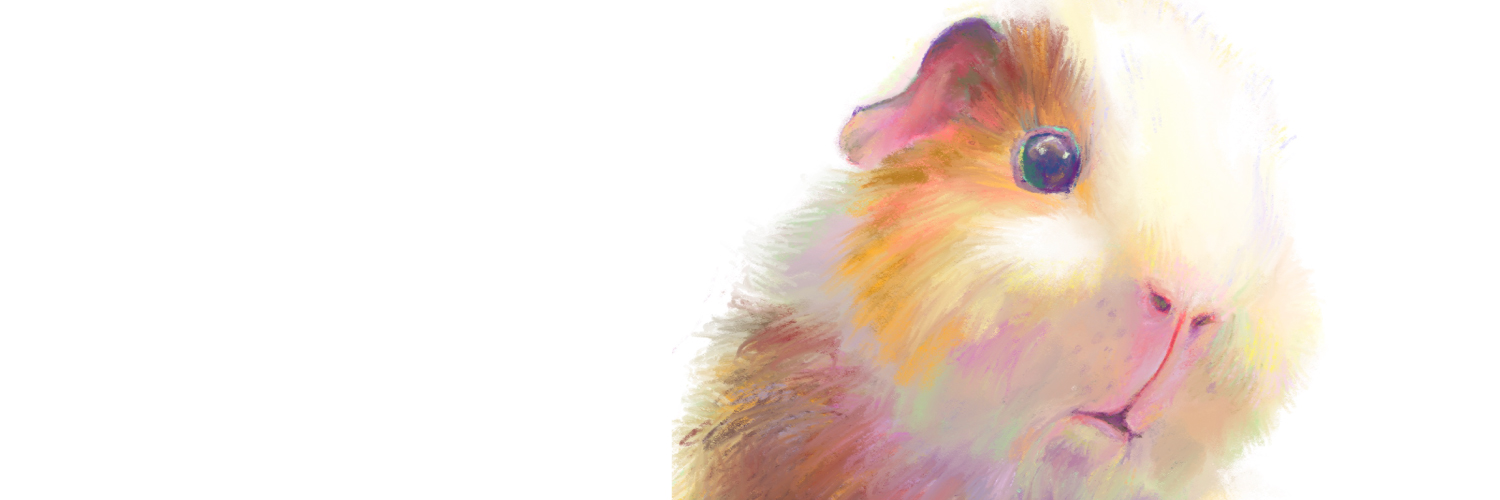 かち乃ちのら　イラストレーター banner