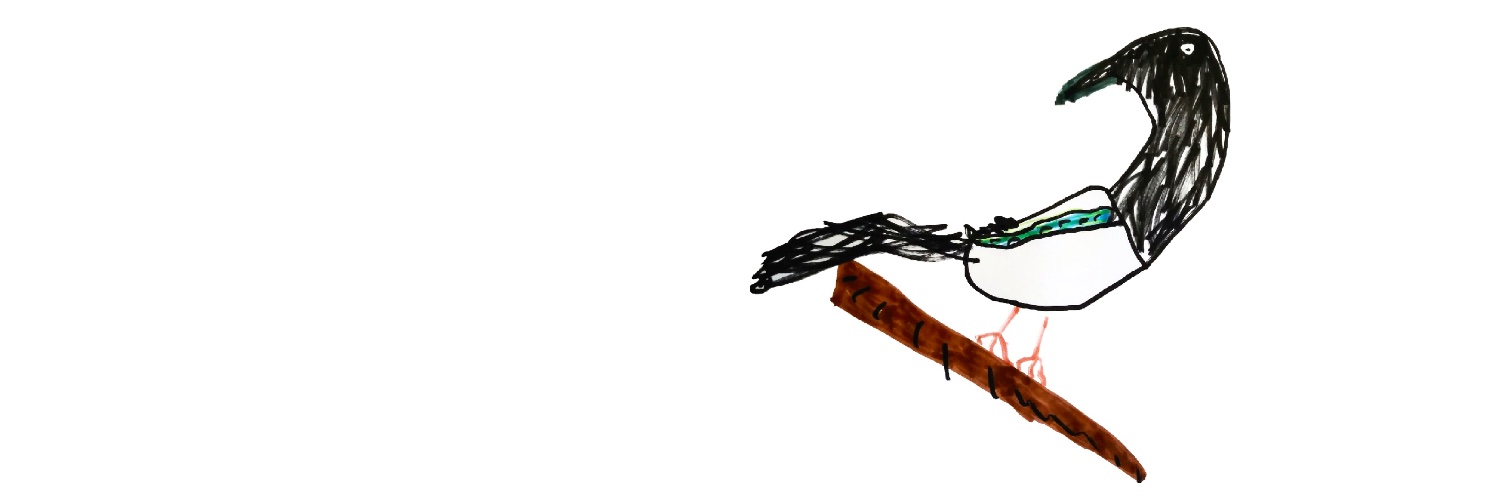 felicityburch's profile banner image