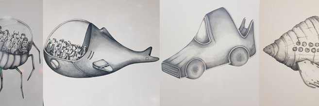 jjckutzner's profile banner image