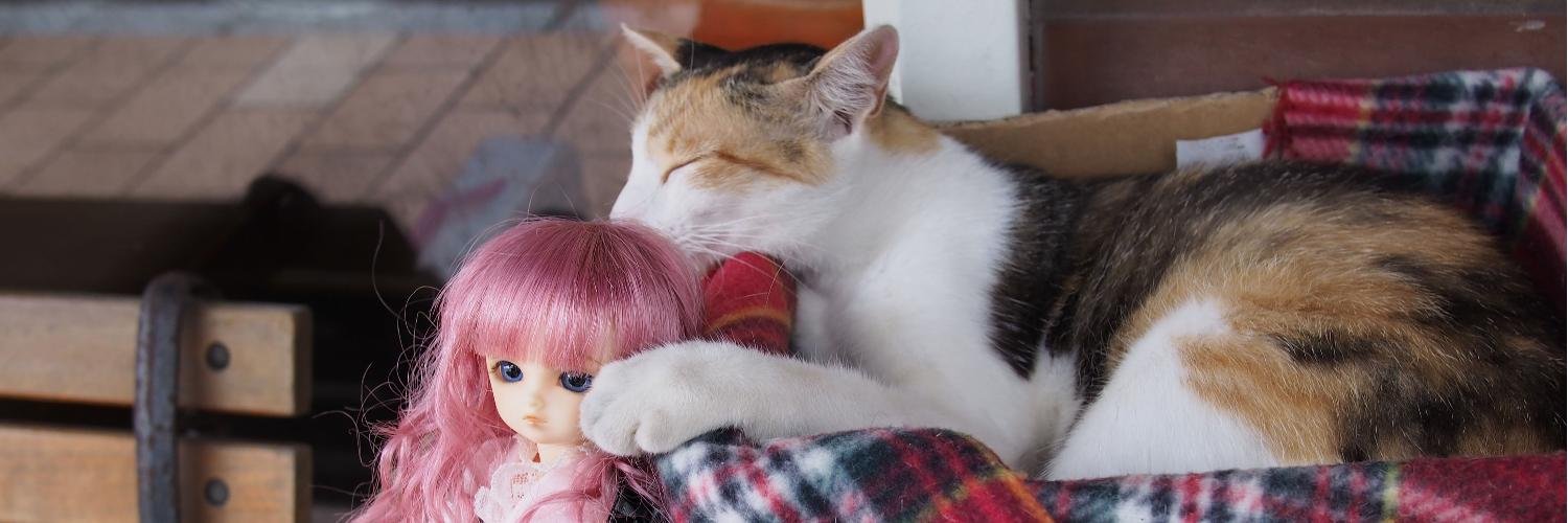 wendylime's profile banner image