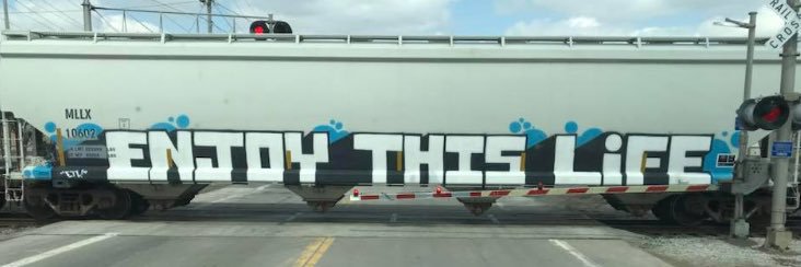 LittleHoth's profile banner image