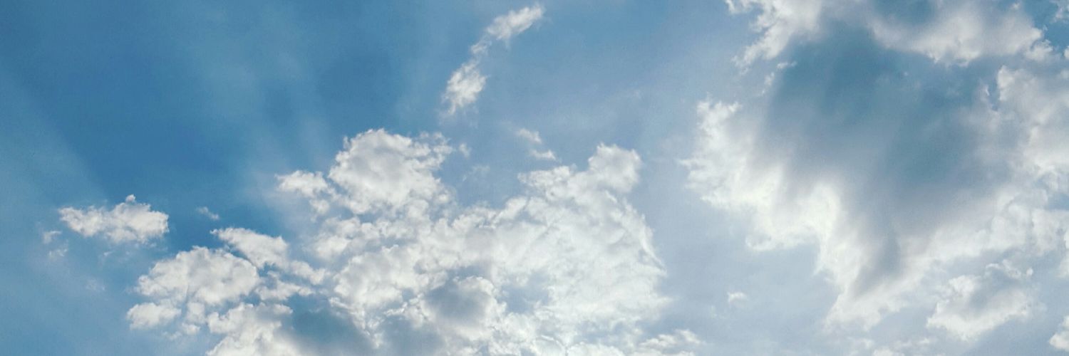 florveigas's profile banner image