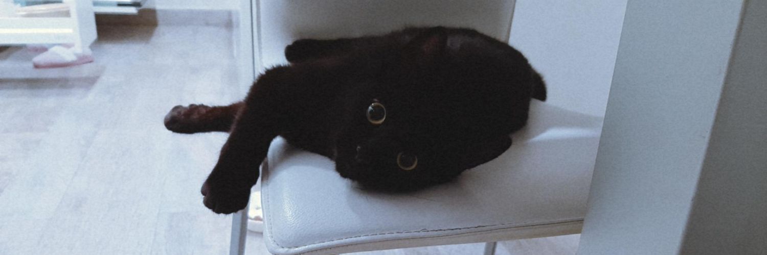 mdblvck_'s profile banner image