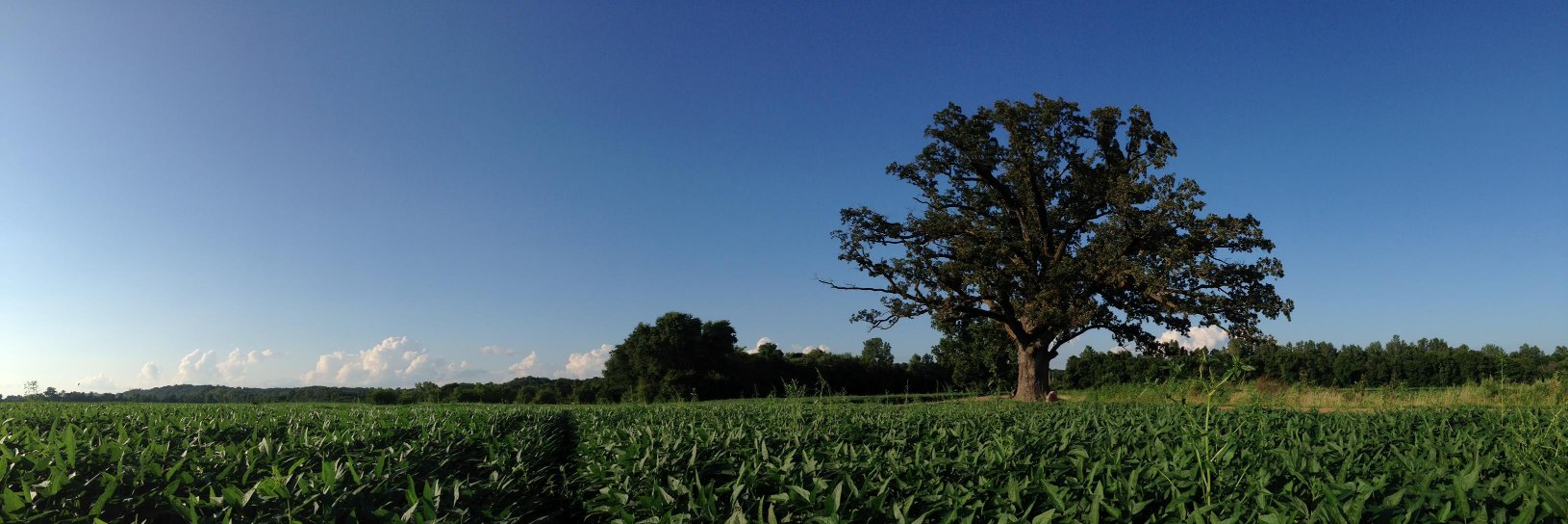 austindey's profile banner image