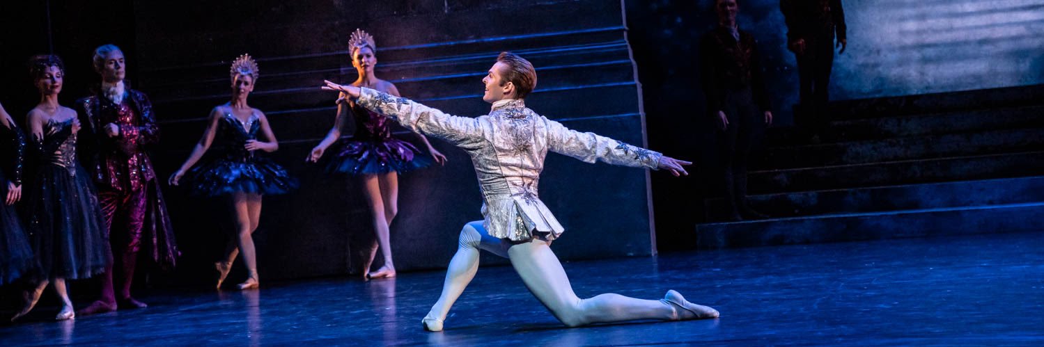 Lachlan Monaghan banner