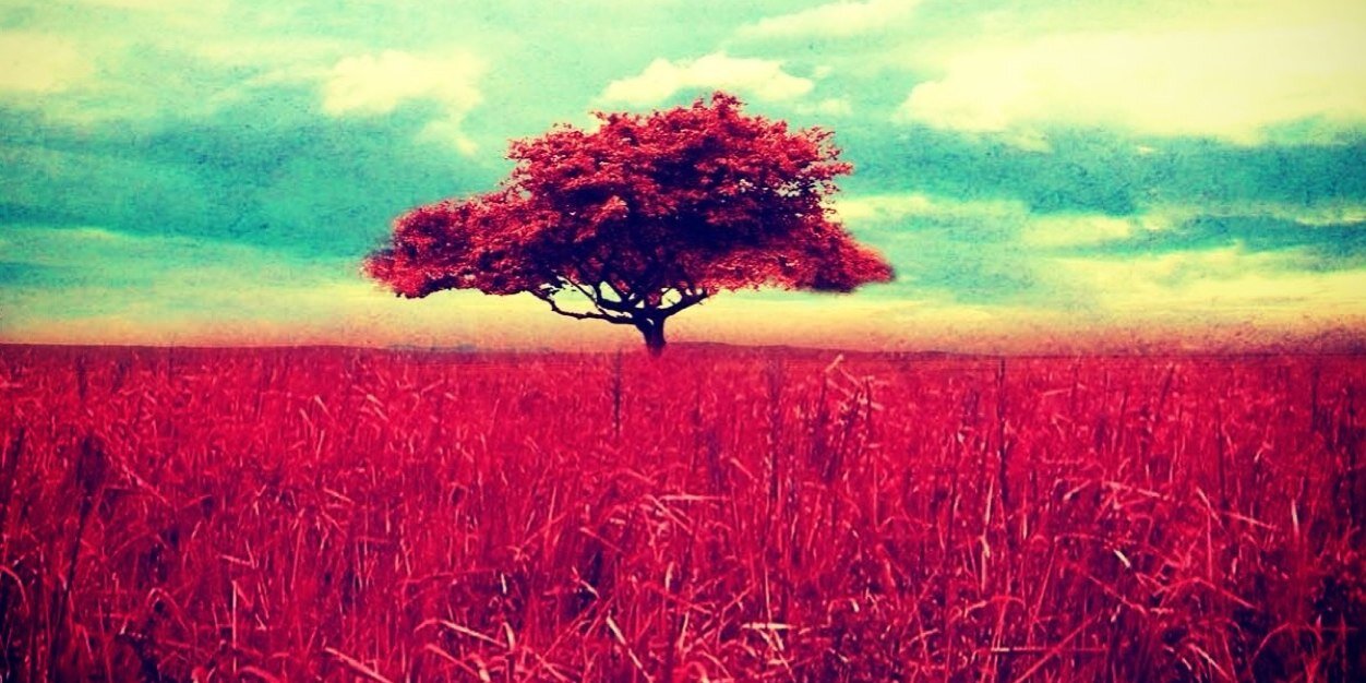 KindraHanson's profile banner image