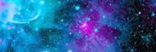 Taylorlilly5's profile banner image