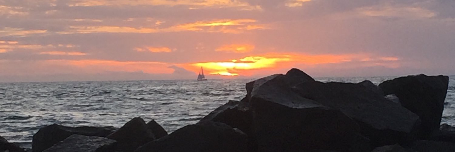 LisaOverman1's profile banner image