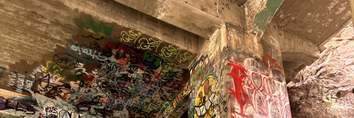 papisol_'s profile banner image
