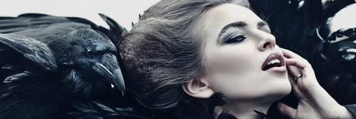 Gdustyl's profile banner image